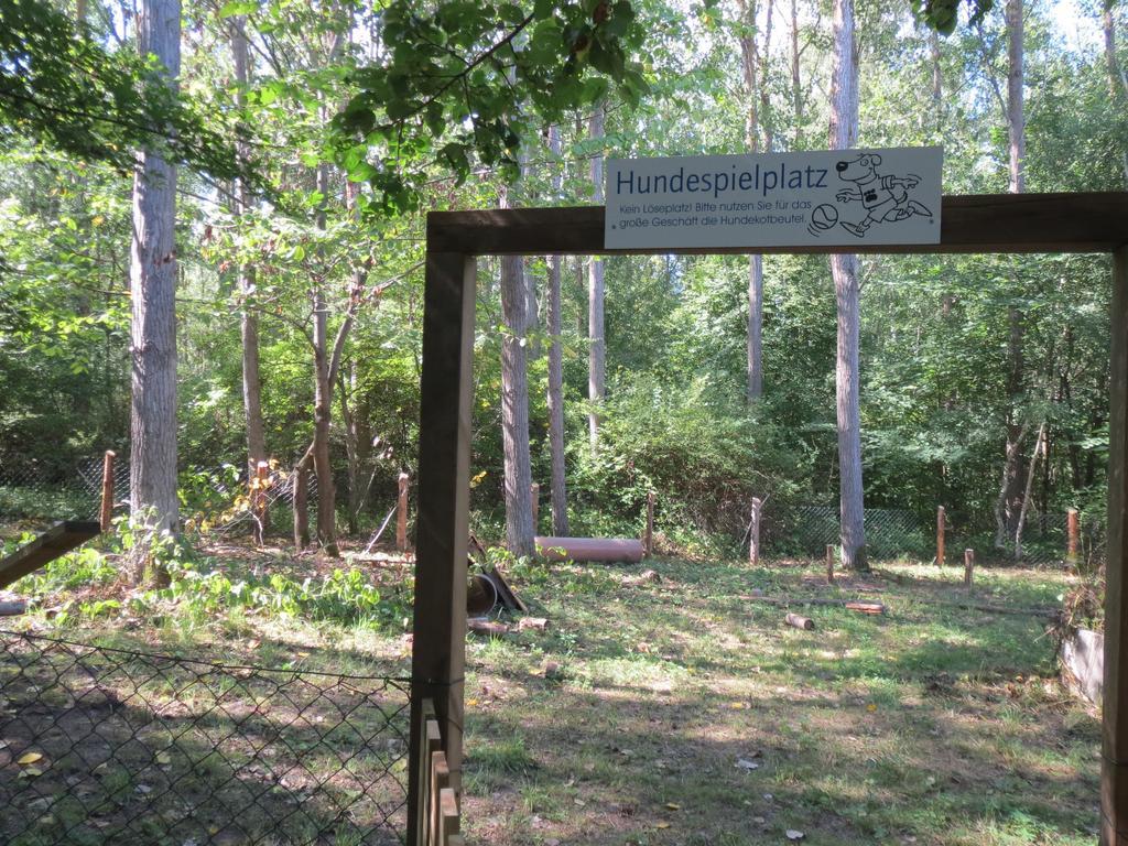 Mueritzparadies - Feriendorf Alte Fahrt Rechlin Exteriér fotografie