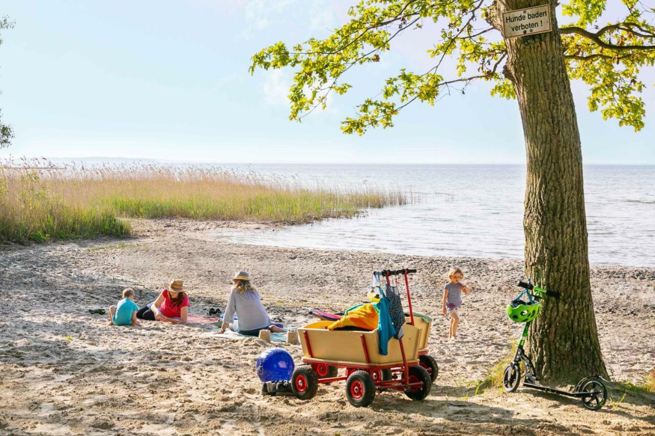Mueritzparadies - Feriendorf Alte Fahrt Rechlin Exteriér fotografie